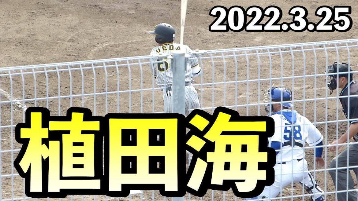 阪神タイガース植田海(近江)のバッティング 7回表【2022年3月25日 対中日ドラゴンズ プロ野球 2軍ファーム戦 ウエスタンリーグ ナゴヤ球場】