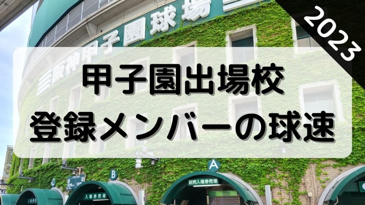 甲子園出場校のピッチャーの球速<高校野球2023年>