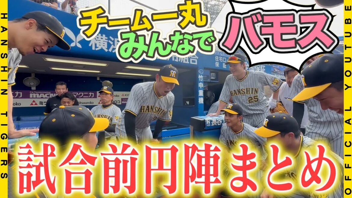 Hanshin-Tigers: 【バモス!】#原口文仁 選手の代打2ランダメ押し弾で7連勝!この連勝中、試合前の声出しを務めているのは原口選手!魂の雄たけび「バモス!」がチーム一丸の合言葉!勢いをつけ明日から地元・関西に戻ります!!