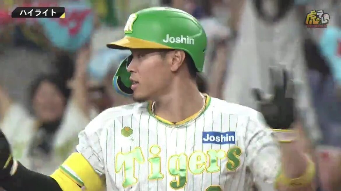 Hanshin-Tigers: 【ハイライト】阪神vsヤクルト【2023/8/12T-S】