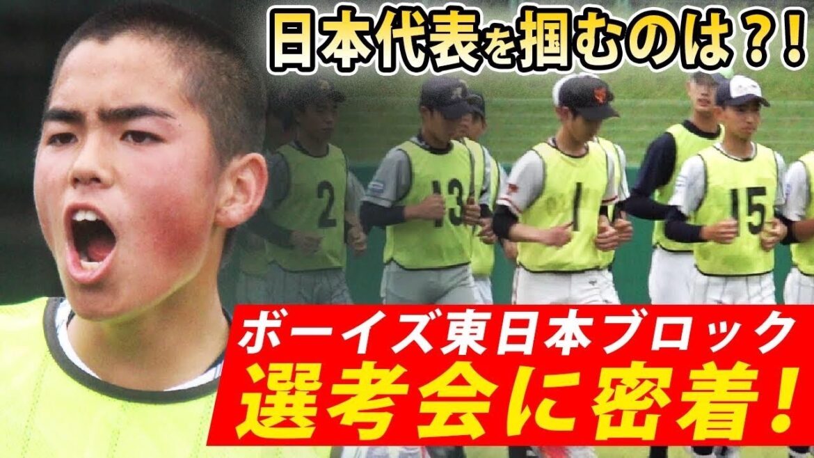 【日本代表】金の卵を見逃すな!通算10本塁打の身体能力の鬼、元西武Jr.の守備職人など逸材揃い