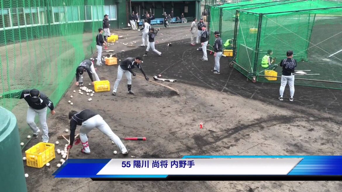 阪神タイガースキャンプ2沖縄 55 陽川尚将 内野手 ティーバッティング