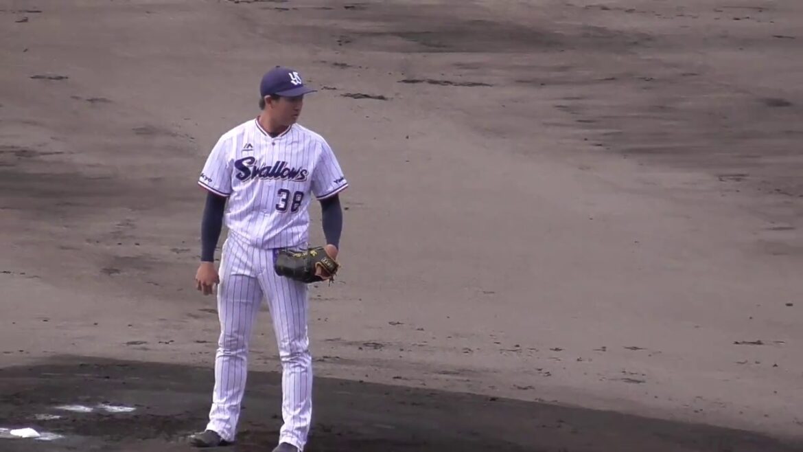 【2017東京ヤクルトスワローズ秋季キャンプ】2017/11/15投内連携①