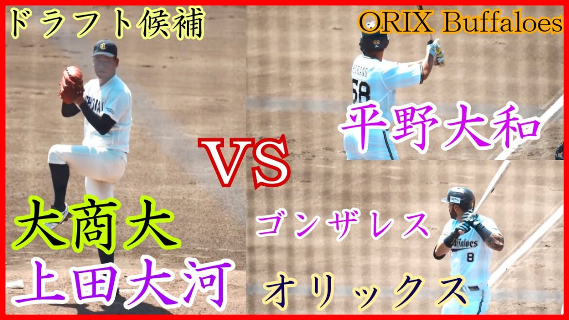 【オリックス】ドラ1候補の大商大 上田大河 vs 平野大和&ゴンザレス!