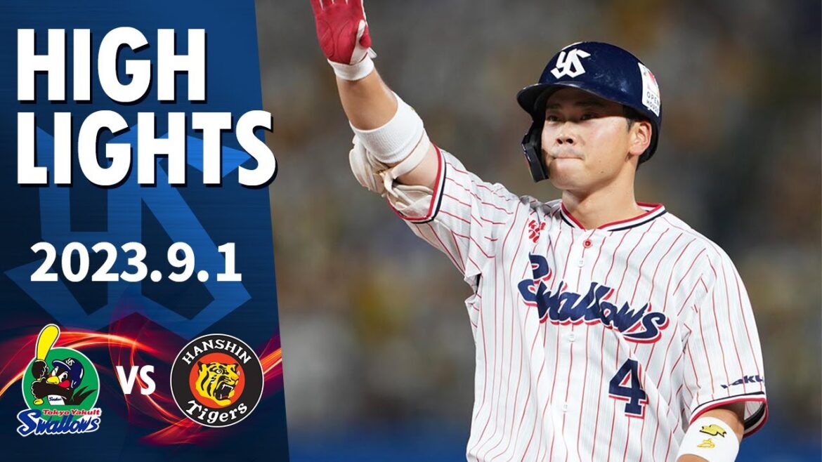 Tokyo-Yakult-Swallows: 【ハイライト】丸山和郁選手が2安打1打点の活躍|9月1日 東京ヤクルトスワローズvs阪神(神宮球場)