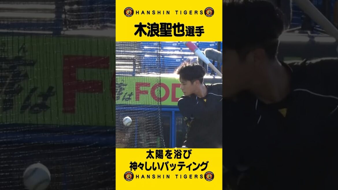Hanshin-Tigers: #木浪聖也 選手!季節の移ろいを感じさせる陽射しを浴びて#shorts