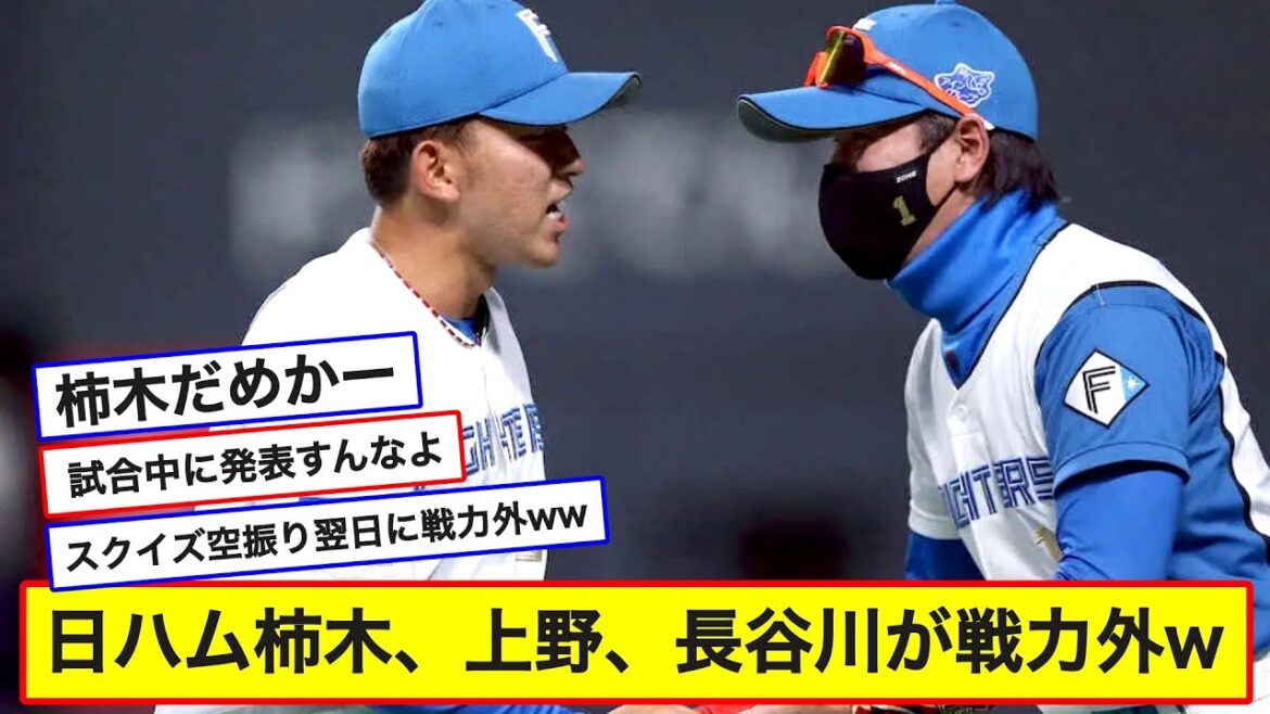 【日ハム戦力外通告】柿木投手、上野選手、育成長谷川選手【なんJ反応】
