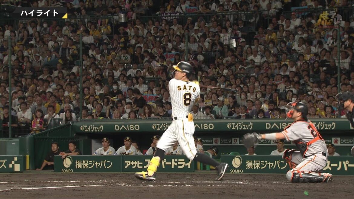 Hanshin-Tigers: 【ハイライト】阪神vs巨人【2023/9/13T-G】