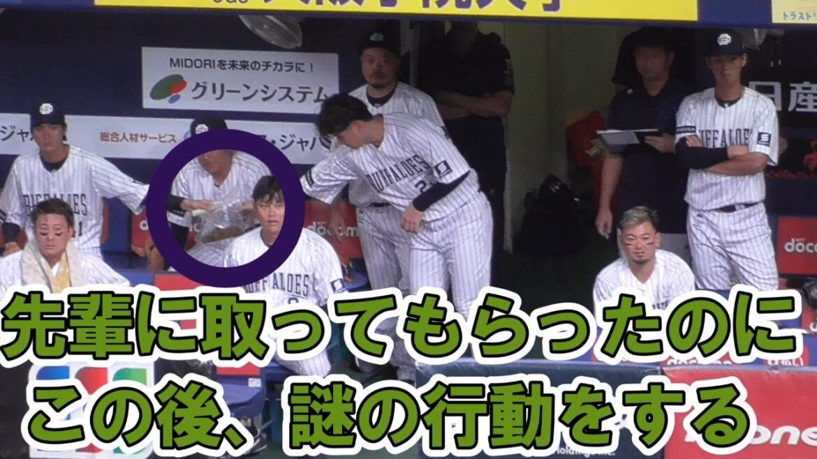 先輩に取ってもらった事が無意味になる行動をしてしまう紅林弘太郎。翌日も同じく先輩に取ってもらうが…