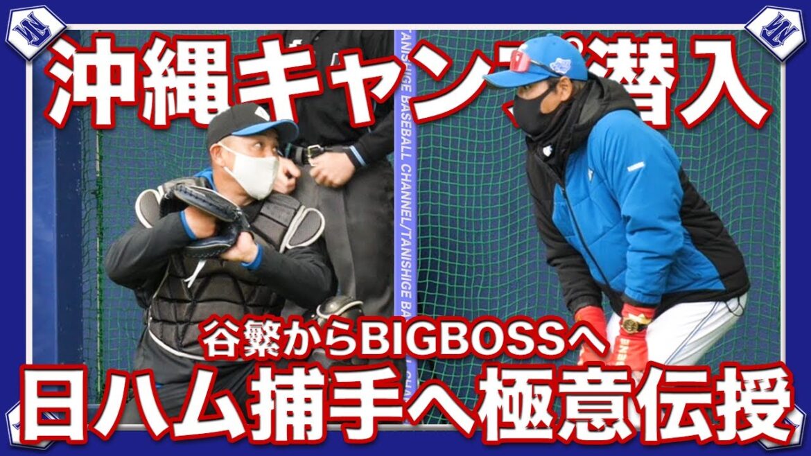 【BIGBOSS】北海道日本ハムファイターズキャンプに潜入!!谷繁の捕手の極意を選手に伝授。【ファイターズ】