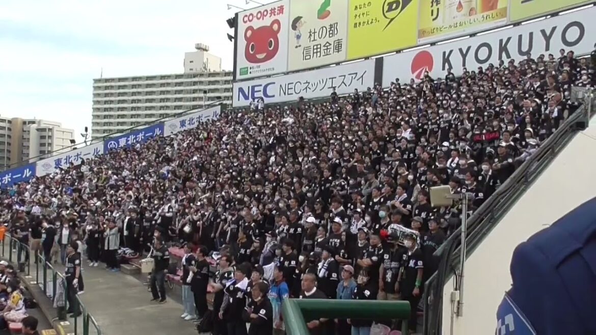 4年ぶりの新応援歌!千葉ロッテマリーンズ 藤原恭大 応援歌