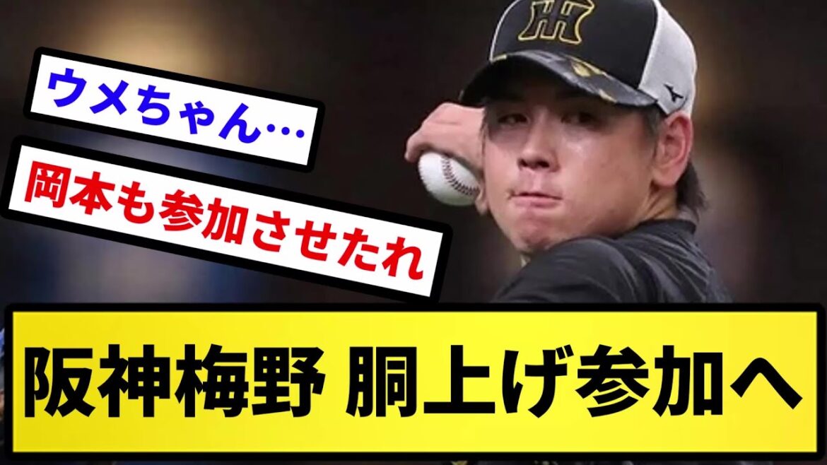 【有能】阪神梅野 胴上げ参加へ【反応集】【プロ野球反応集】【2chスレ】【5chスレ】