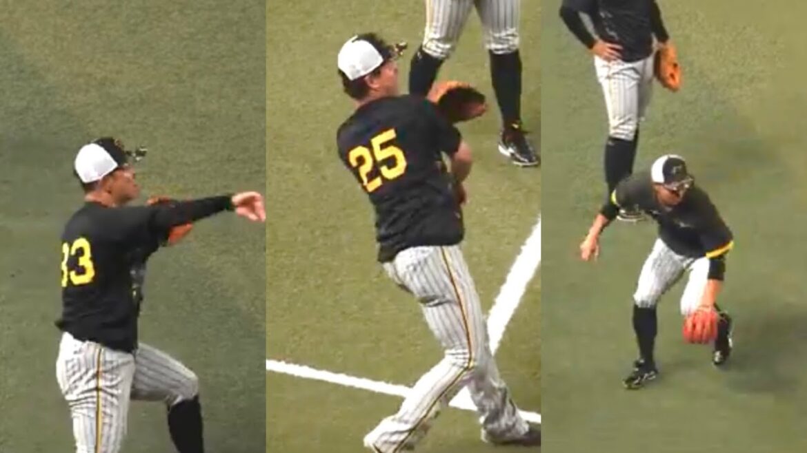 【阪神】糸原健斗vs渡辺諒vs熊谷敬宥、三塁シートノック比較!9月24日 阪神vs中日