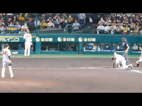 坂本誠志郎 死球で怒号が飛び交う甲子園