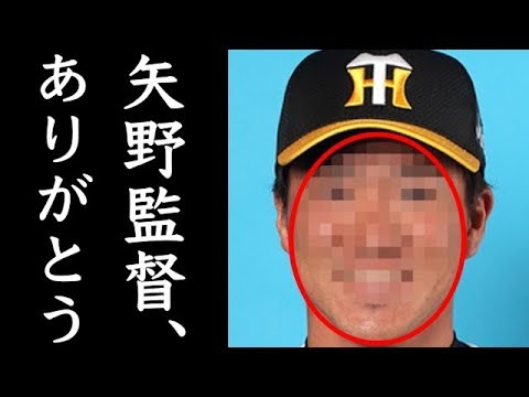 阪神タイガース矢野監督には頭が上がらない某選手!矢野政権下では安泰やね
