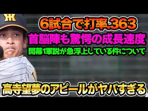 【首脳陣も驚愕の成長速度】高寺望夢の打撃センス&体力を首脳陣が絶賛している件について!! 開幕1軍説について徹底解説【阪神タイガース】