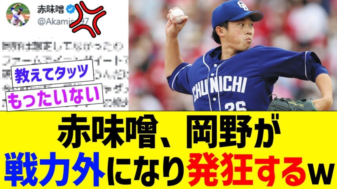 赤味噌、中日岡野戦力外に発狂する…【なんJ なんG野球反応】【2ch 5ch】