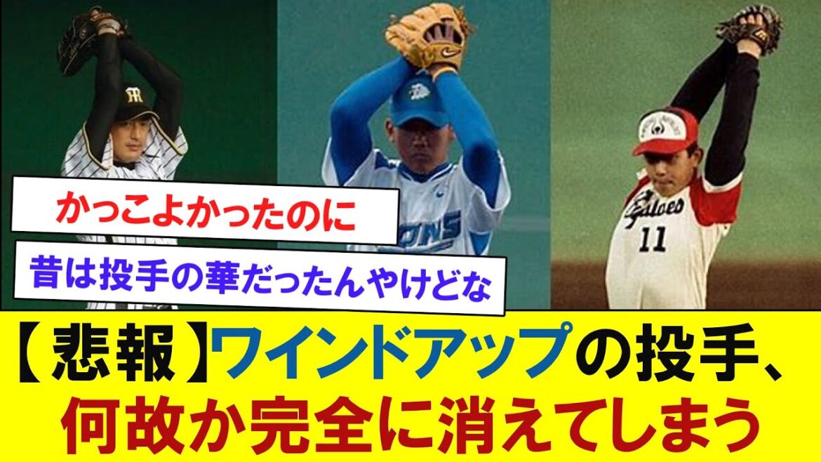 【悲報】ワインドアップの投手、何故か完全に消えてしまう・・・ 【なんJなんG反応】