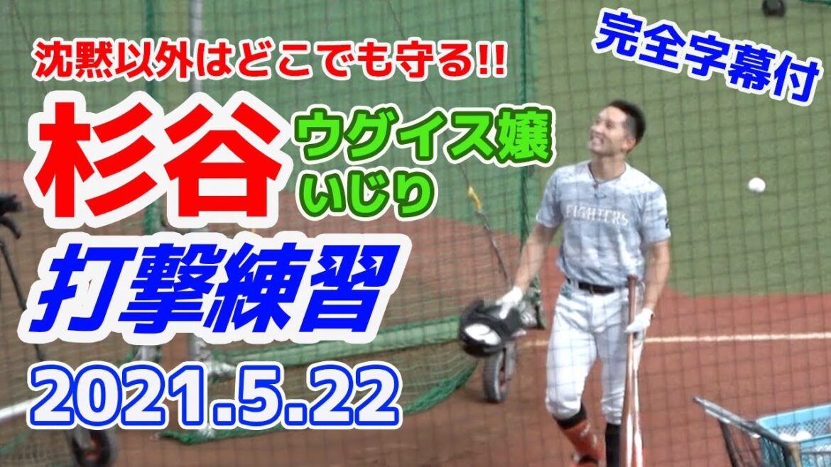 【杉谷拳士選手】ウグイス嬢によるイジリフリーバッティング 「30歳…見た目で思うより痛烈です」20210522 【完全字幕付】