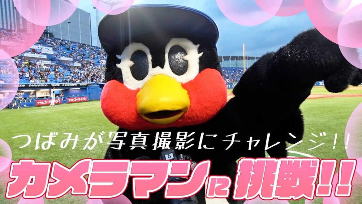 Tokyo-Yakult-Swallows: つばみカメラマンに挑戦!プロ用一眼レフを持ってつばみが写真撮影にチャレンジ!東京ヤクルトスワローズ