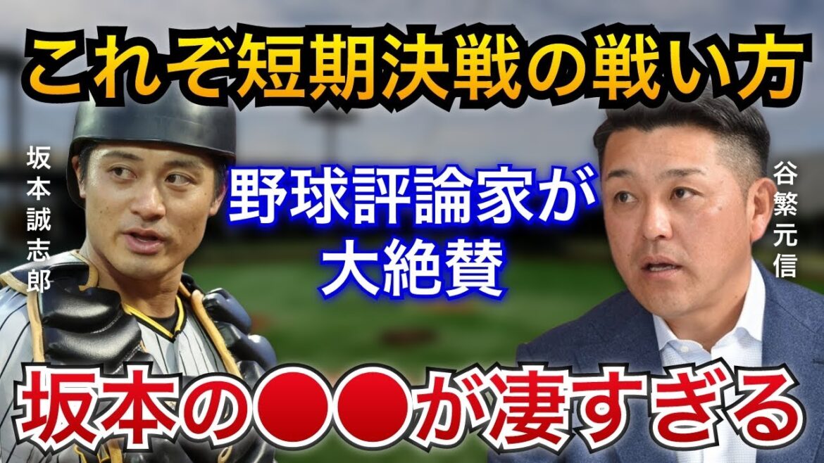 【CS3連勝の立役者】岡田監督や野球評論家が絶賛する坂本誠志郎の●●が凄すぎる【阪神タイガース】