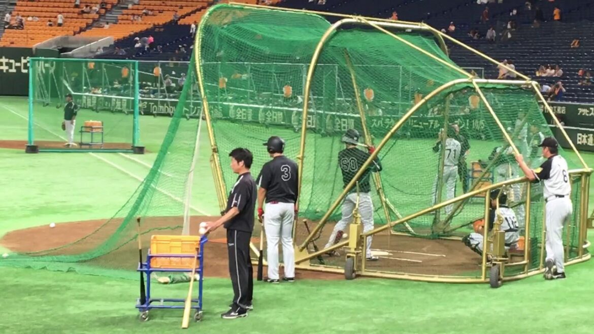 中谷将大のフリー打撃のフォロースルーがギータ(柳田悠岐選手)みたい!少年野球指導者向け