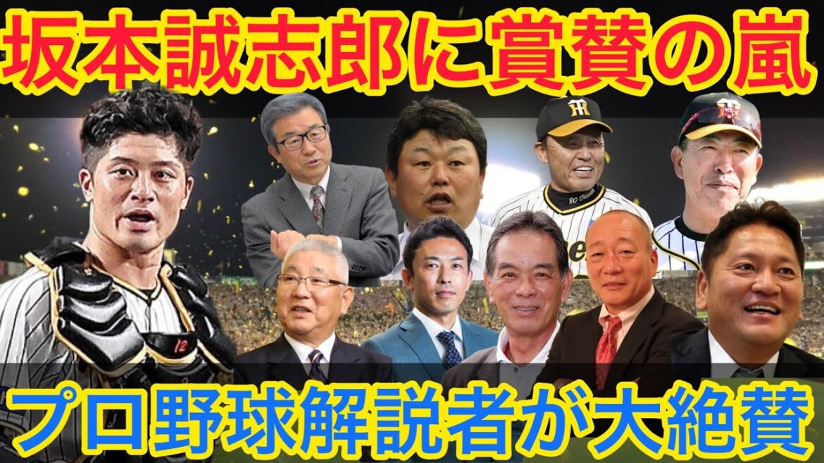 【坂本誠志郎に賞賛の嵐】プロ野球解説者が大絶賛 #岡田監督 #阪神 #阪神タイガース #坂本誠志郎 #MVP #大魔神佐々木 #赤星憲広 #達川 #大矢 #井上一樹 #大久保