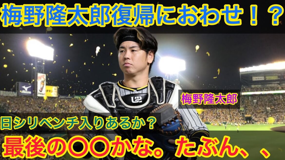 【梅野隆太郎復帰匂わせ!? 最後の〇〇かな、たぶん、、】 #岡田監督 #阪神 #阪神タイガース #年俸 #クライマックスシリーズ #cs #利益 #梅野隆太郎 #梅野