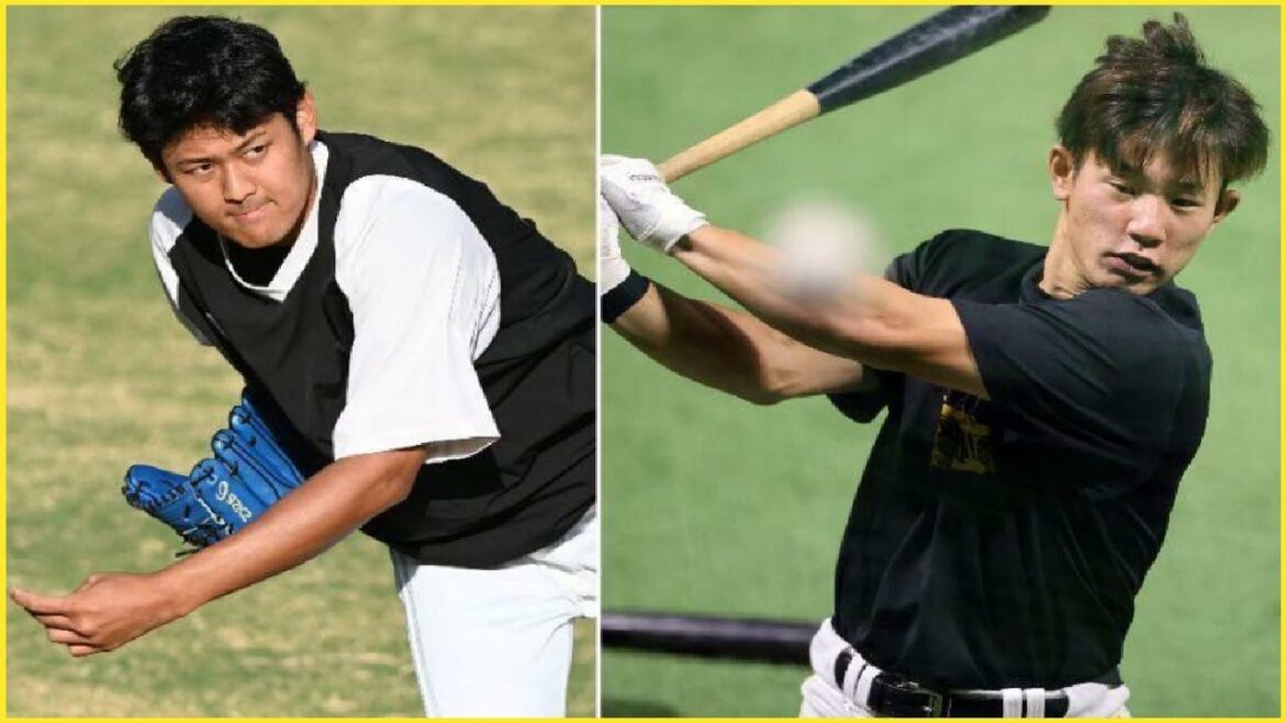 🧢【独自】ソフトバンク、椎野新と増田珠が来季構想外 支配下大量9人、血の入れ替え 育成3人、ドミニカ出身18歳内野手も ⚾