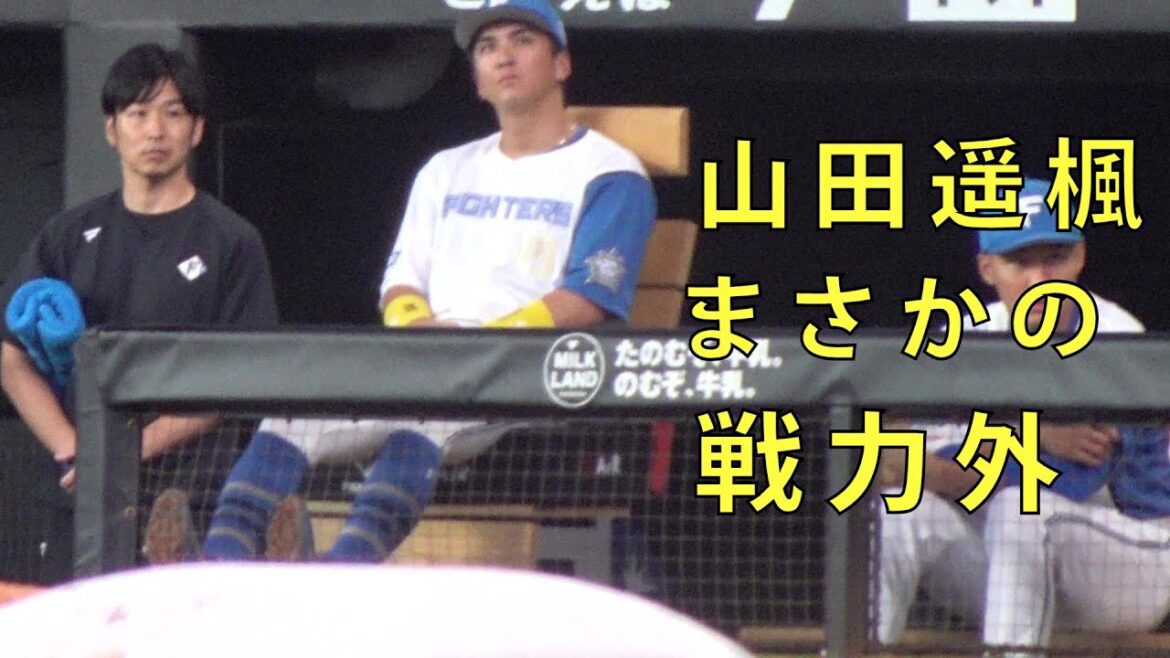 日本ハム元気印 山田遥楓選手がまさかの戦力外2023.10.29