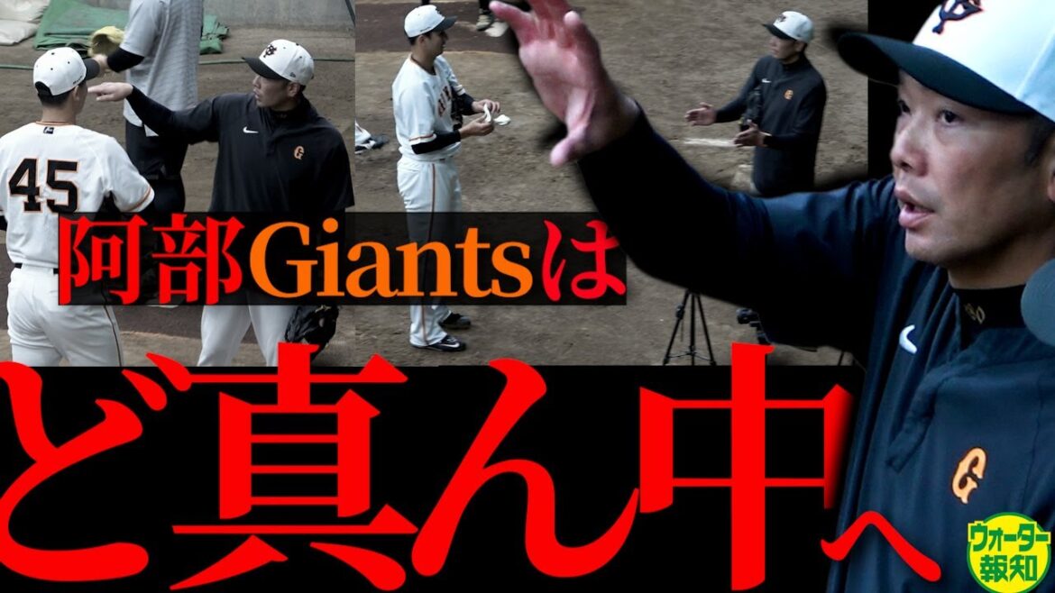 【再生術】阿部監督が初の熱血指導 ! 畠世周&横川凱に教えた「捕手論」…巨人再建へまずは眠った大器を呼び覚ませ【ウォーター報知】