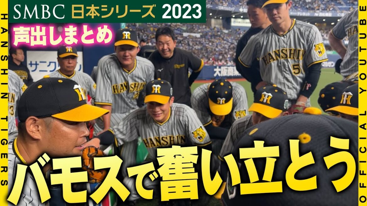 Hanshin-Tigers: 【バモス!】#原口文仁 選手の日本シリーズ声出しまとめ!18年前に残した『宿題』をやり遂げる時が来ました!いよいよ最終決戦!勝利の合言葉『#バモス』でチーム・ファン一丸となって、いざ頂点へ!!!