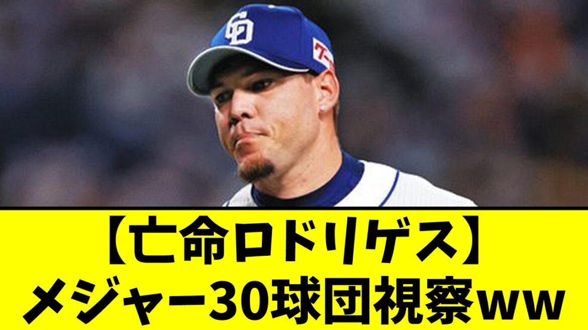 【朗報】亡命ロドリゲスにメジャー30球団視察w w w w w【なんJ野球反応集】【2ch反応集】