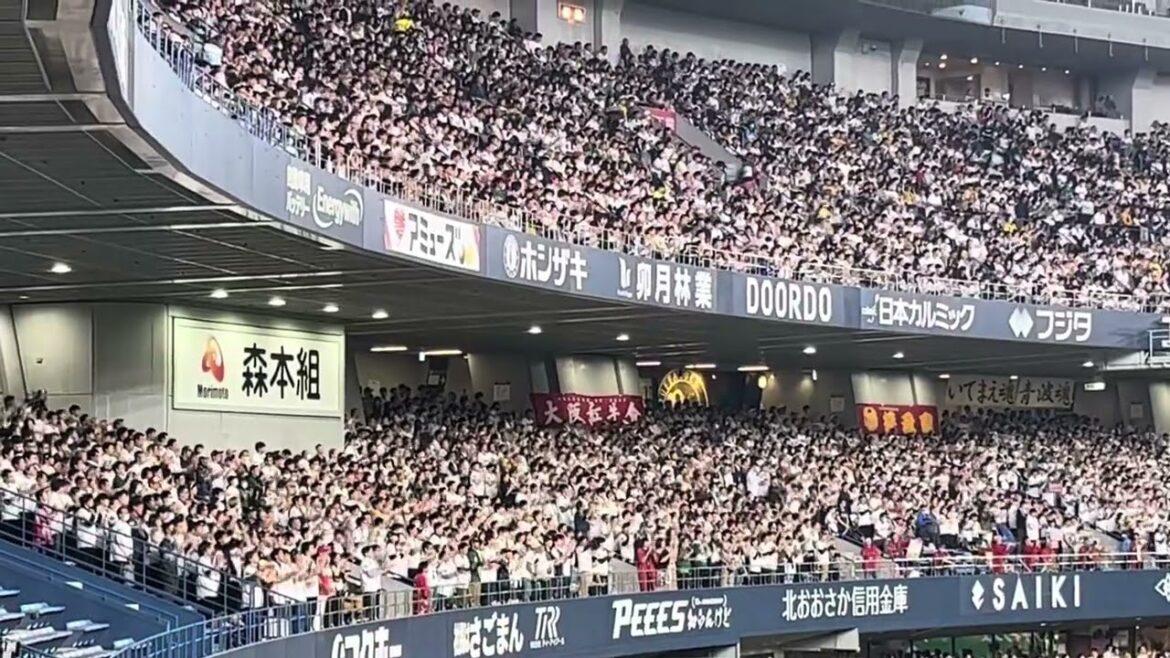 2023.10.29BuffaYell〜廣岡大志タイムリー【京セラドーム大阪】