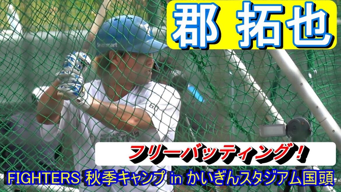 【日本ハム】ユーティリティープレイヤー・郡 拓也‼・・・フリーバッティング!【秋季キャンプ】