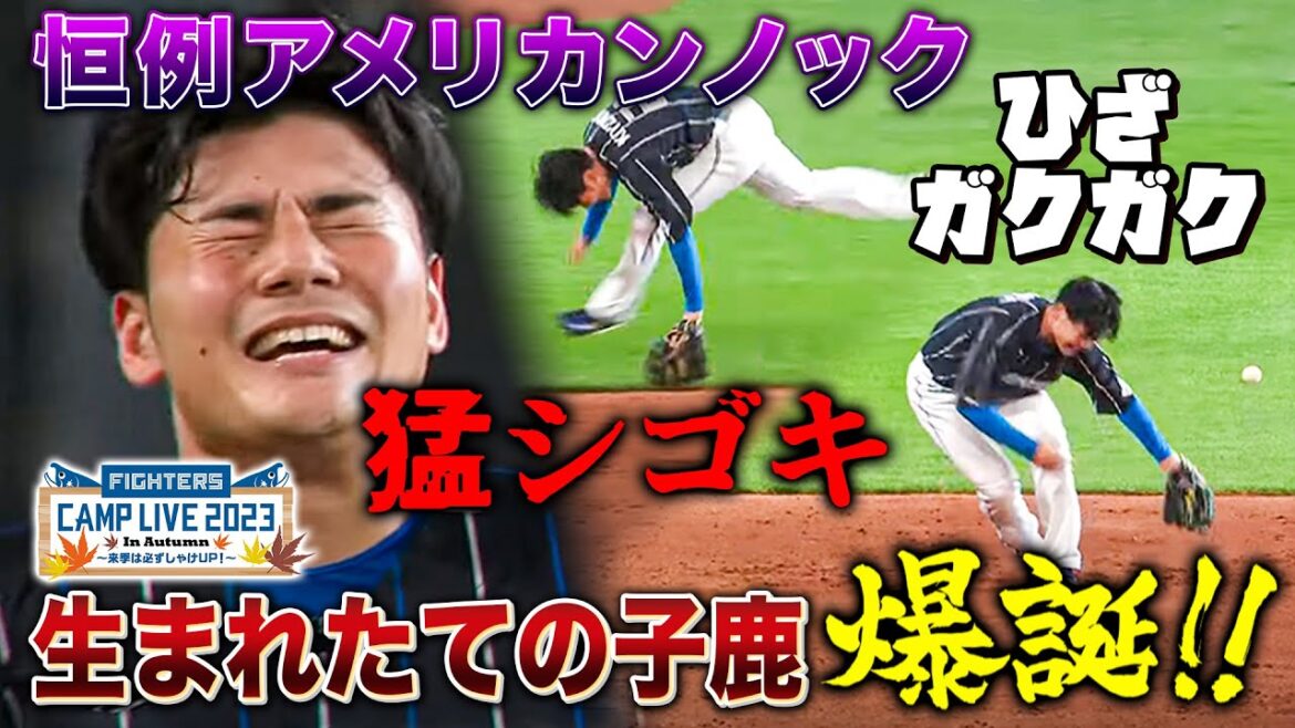 【恒例行事】アメリカンノックで清宮選手の新しいキャラクターが生誕&ムードメーカー奈良間も奮闘<11/11ファイターズ秋季キャンプ2023>