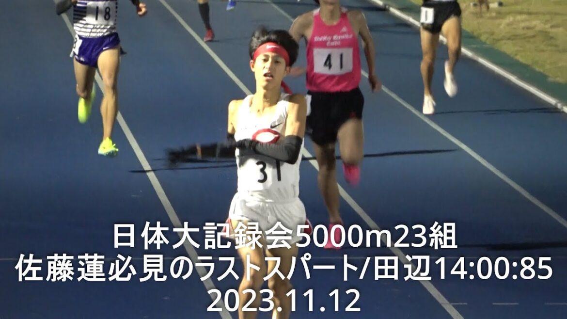 『佐藤蓮(中大)必見のラストスパート/田辺(KIZUNA AC)14:00:85』 日体大記録会 5000m23組 2023.11.12