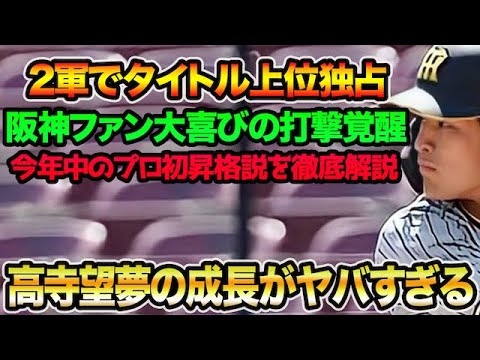 【衝撃の逆方向サヨナラ弾】高寺望夢がめちゃくちゃパワーアップしている件について!! 1軍初昇格説について徹底解説【阪神タイガース】