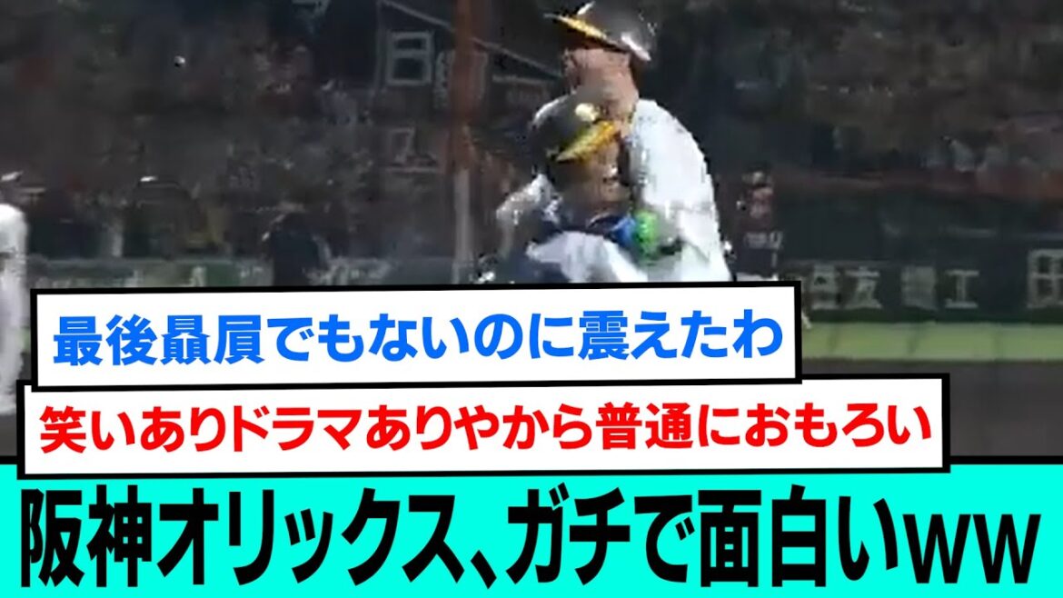 阪神オリックス、ガチで面白いwwwwwwwwwwwwwww【阪神タイガース/なんJ・ 2ch5chスレまとめ/日本シリーズ/大山悠輔/近本光司/湯浅京己/2023年11月1日】