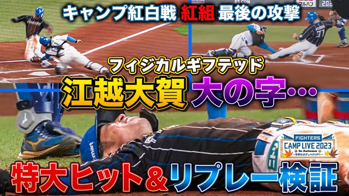 江越大賀 特大ヒットからのリプレー検証で話題独り占め!秋季キャンプ紅白戦3回表<11/11ファイターズ秋季キャンプ2023>