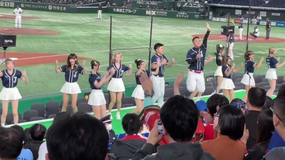 【台湾チアガール⑦】味全ドラゴンズ チャンステーマ アジアプロ野球チャンピオンシップ 2023/11/17