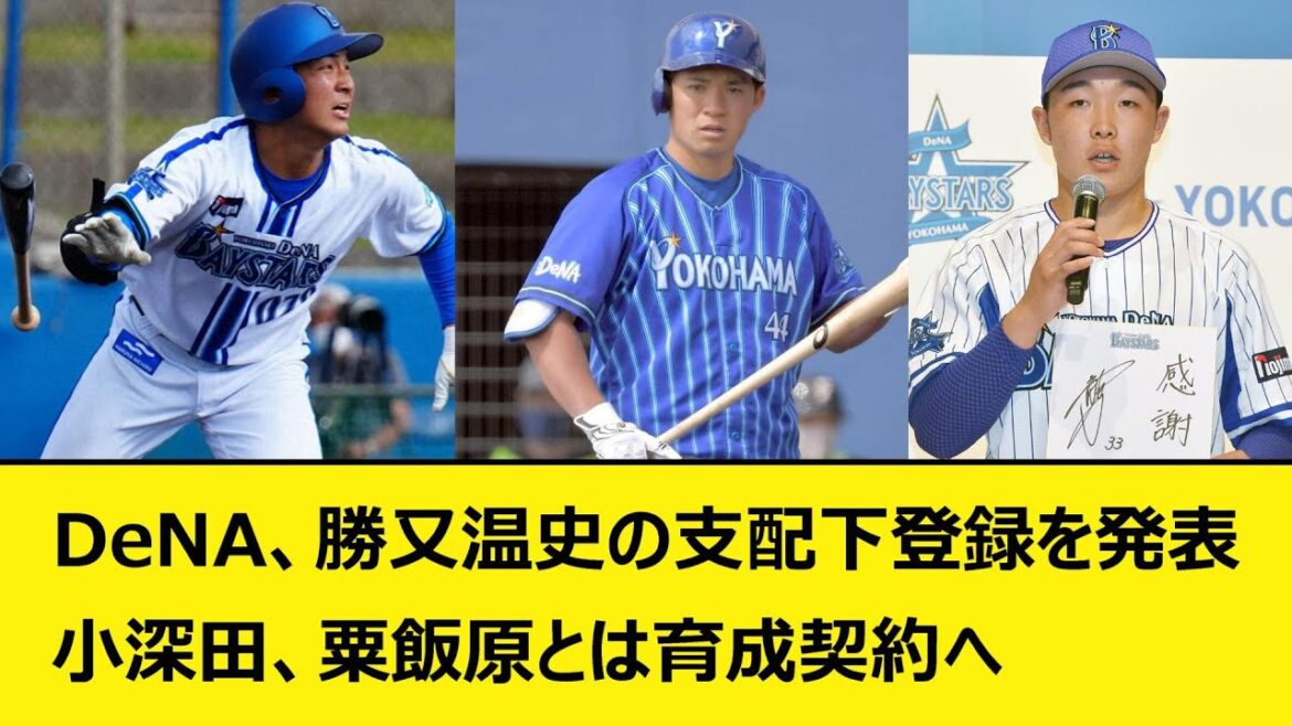 DeNA、勝又温史の支配下登録を発表。小深田、粟飯原とは育成契約へ【なんJ、なんG反応】【2ch、5chまとめ】【プロ野球、横浜DeNAベイスターズ、ベイスターズ、三浦監督】