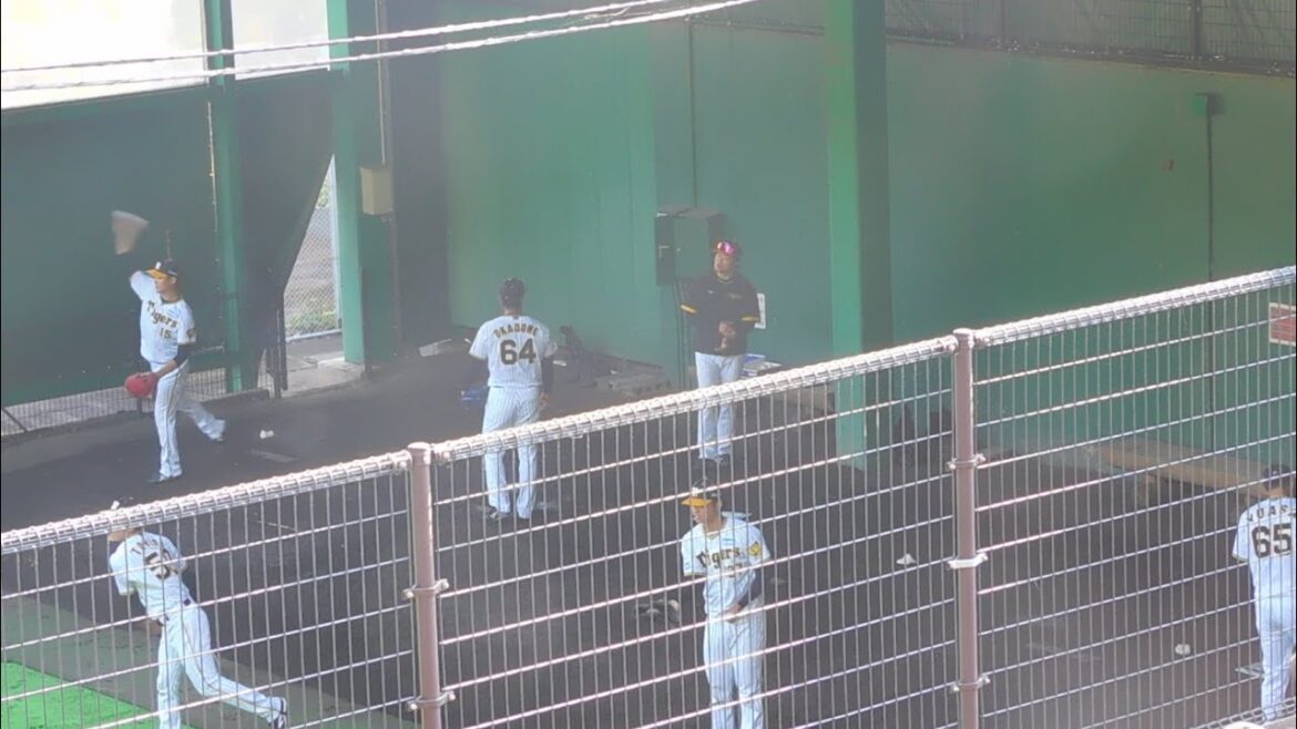 湯浅京己 岡留英貴 西純矢ら日本シリーズ戦士が集結のブルペン投球/出勤キャンプ2023