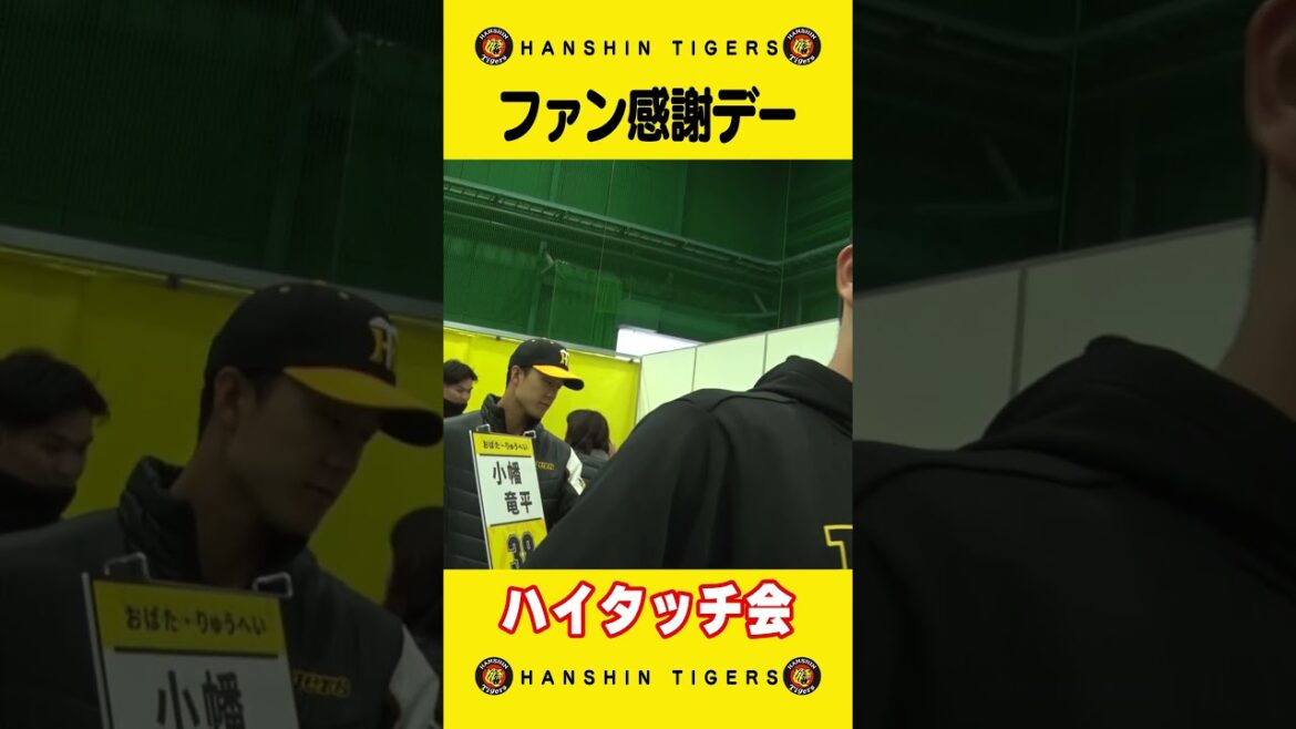 Hanshin-Tigers: ファン感謝デー『ハイタッチ会』に潜入!#shorts