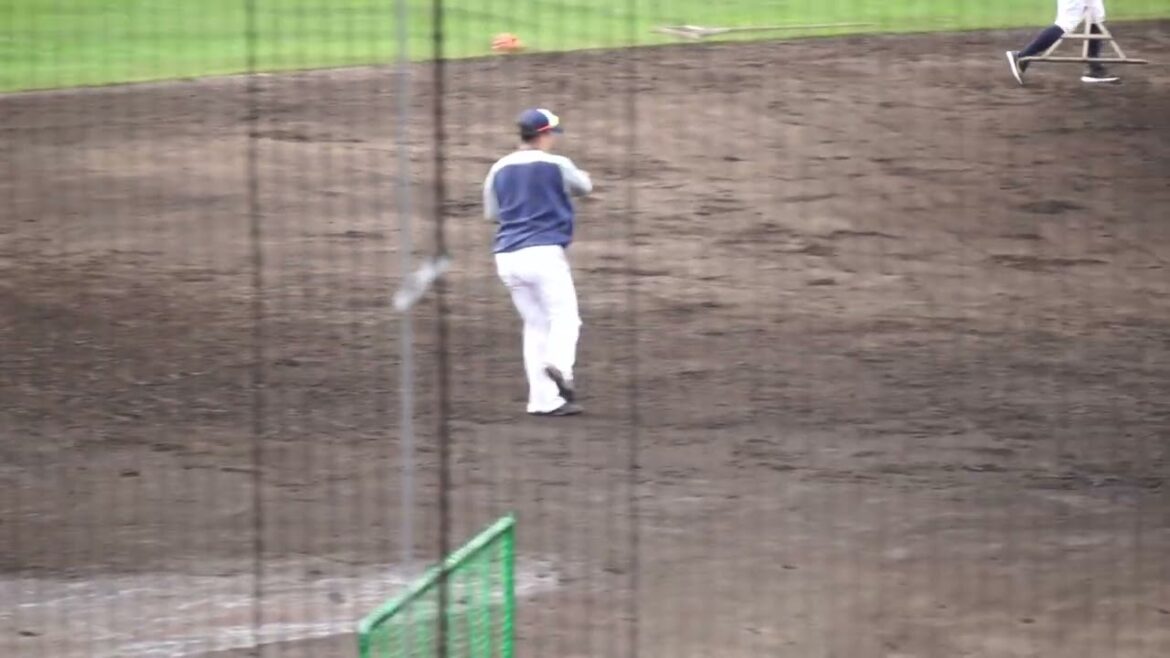 2023/2/12(日) ノック 元山飛優、長岡秀樹、村上宗隆(東京ヤクルトスワローズ)