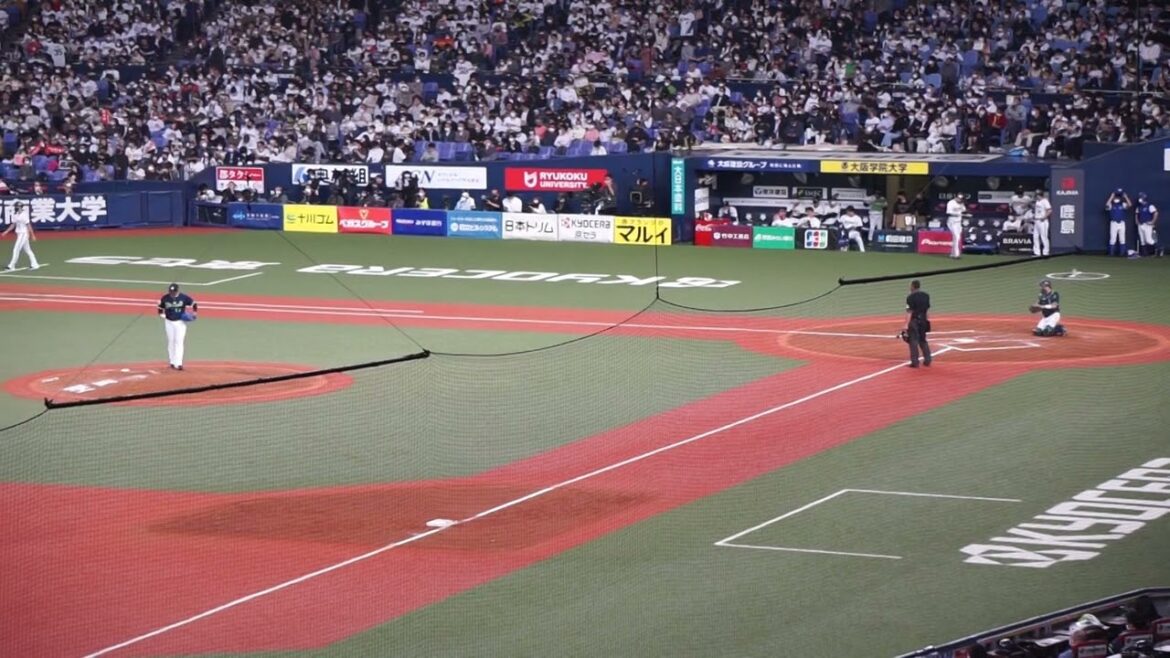 2022/10/27(木) 投球練習(7回裏) 清水昇(東京ヤクルトスワローズ)