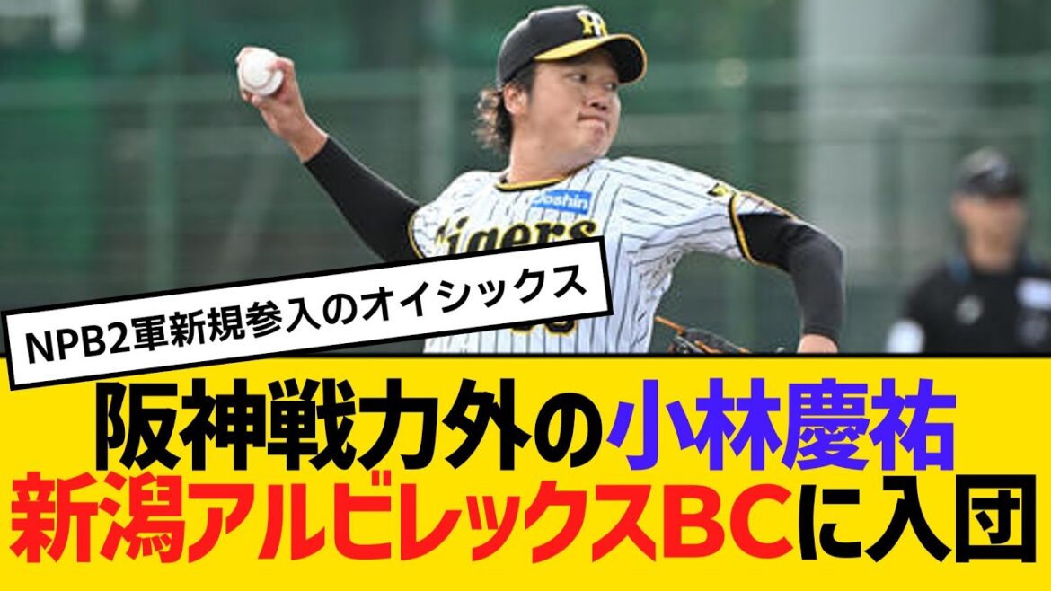 阪神戦力外の小林慶祐、新潟アルビレックスBCに入団 【2ch】【5ch】【反応】