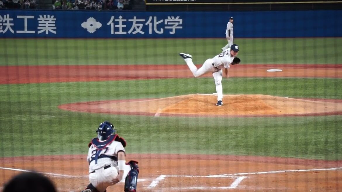 2022/10/29(土) 投球練習(7回表) 木澤尚文(東京ヤクルトスワローズ)