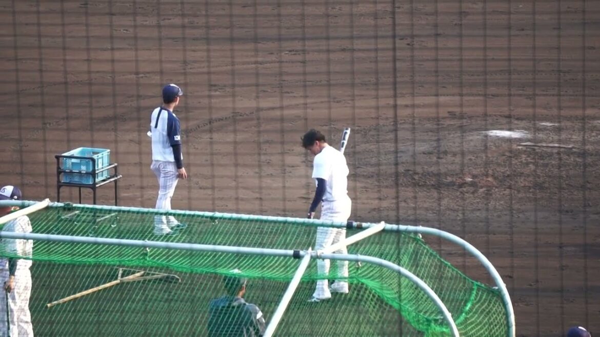 2022/11/12(土) トスバッティング 元山飛優(東京ヤクルトスワローズ) その2