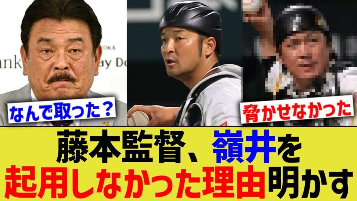 藤本監督、DeNA嶺井を起用しなかった理由を明かすwww【なんJ なんG野球反応】【2ch 5ch】